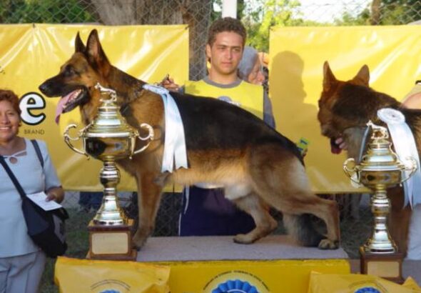 polaco