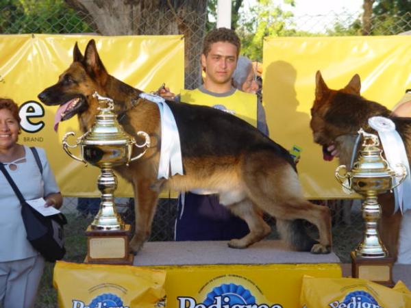 polaco